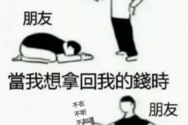 南岸专业讨债公司有哪些核心服务？