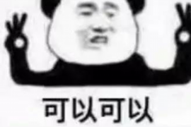 南岸为什么选择专业追讨公司来处理您的债务纠纷？