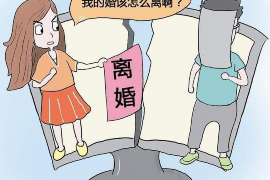 南岸南岸讨债公司服务